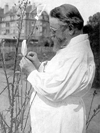 Bild von Prof. Dr. Carl Correns