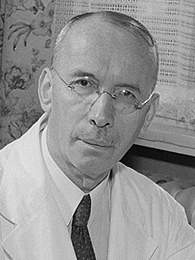 Bild von Prof. Dr. Albrecht Peiper