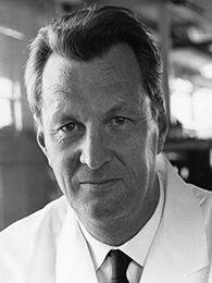 Bild von Dr. Gerhard Schramm